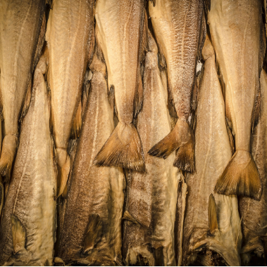 Baccalà-Gastronomia-Viale-Shop